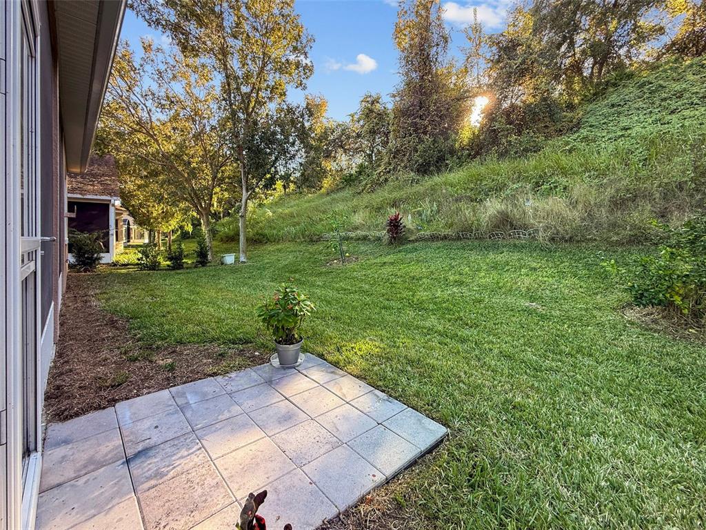 2217 Caledonian Street Clermont, FL 34711 - Photo 22 of 23 a view of a backyard