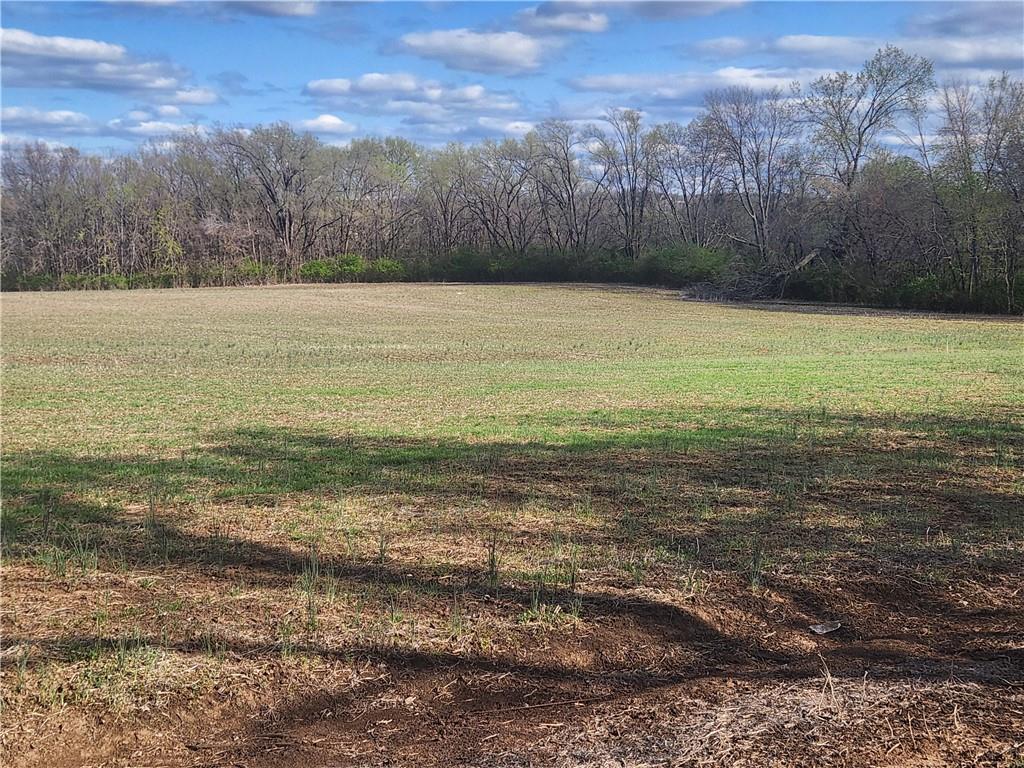 801 South Butler Lane Independence, MO 64056 - Photo 2 of 5