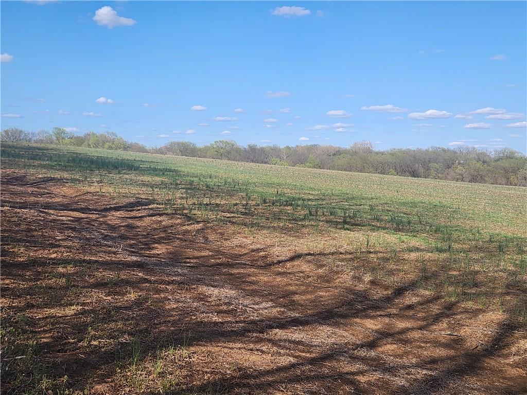 801 South Butler Lane Independence, MO 64056 - Photo 3 of 5