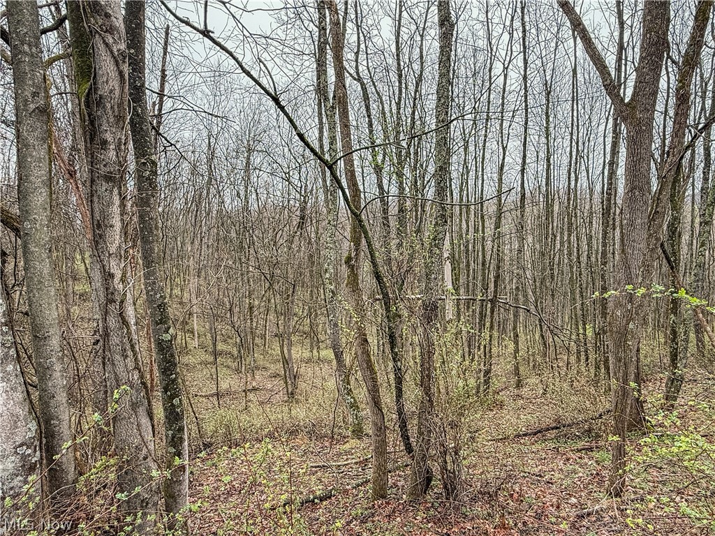 Buck Hill Road Frazeysburg, OH 43822 - Photo 5 of 24