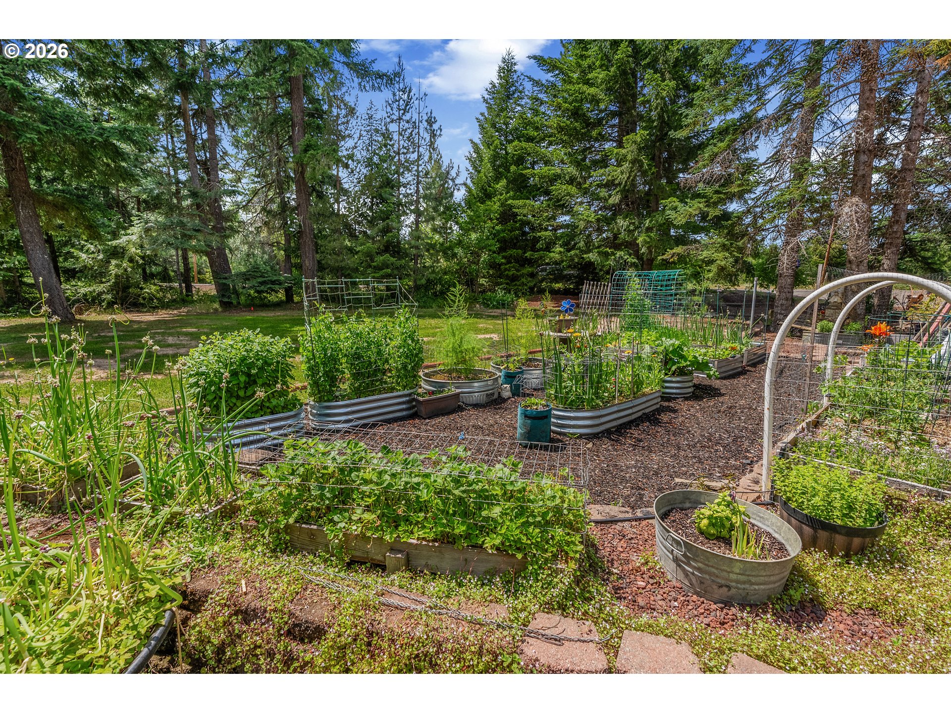 1320 Canyon Road Appleton, WA 98602 - Photo 5 of 48