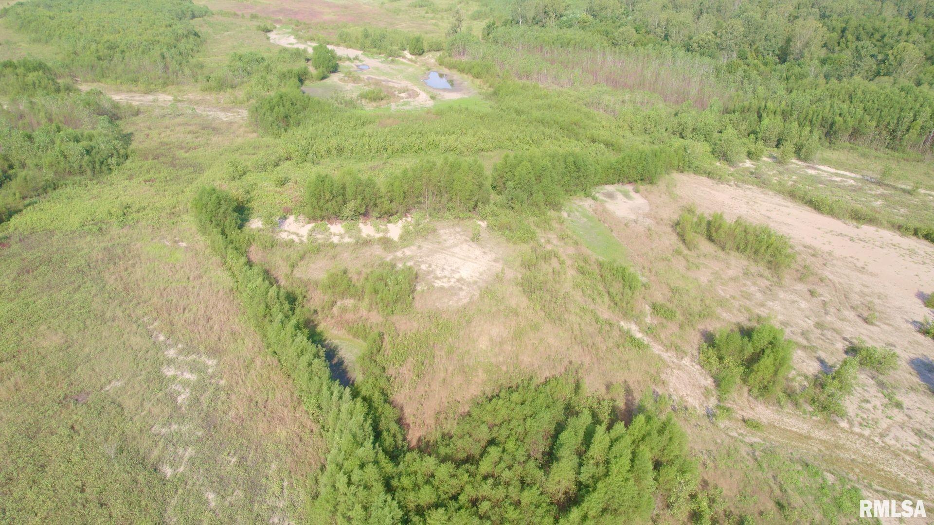 0 Watson Road Miller City, IL 62962 - Photo 11 of 16