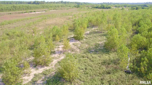 $459,910 | 0 Watson Road, Miller City, IL 62962