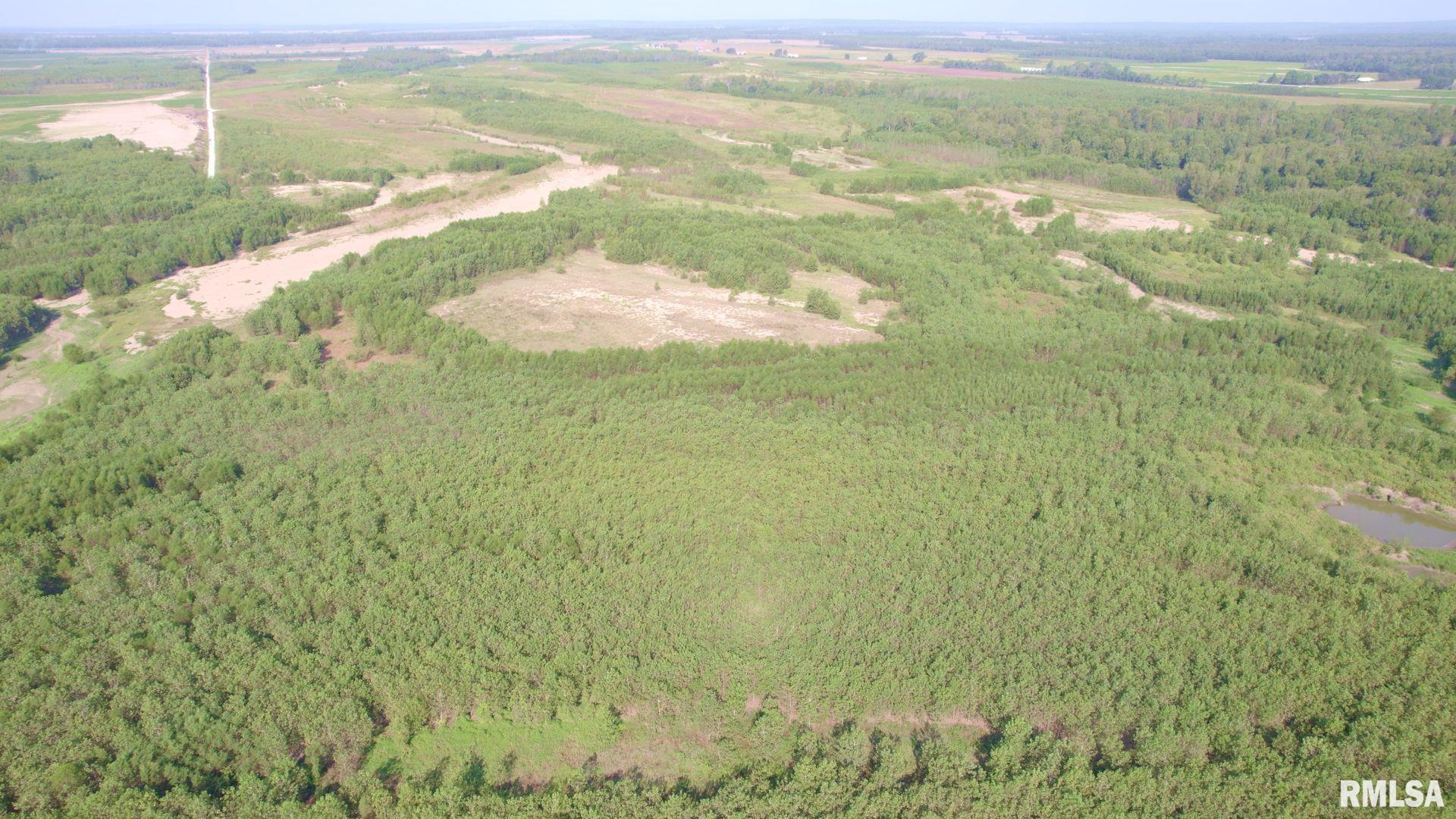 0 Watson Road Miller City, IL 62962 - Photo 7 of 16