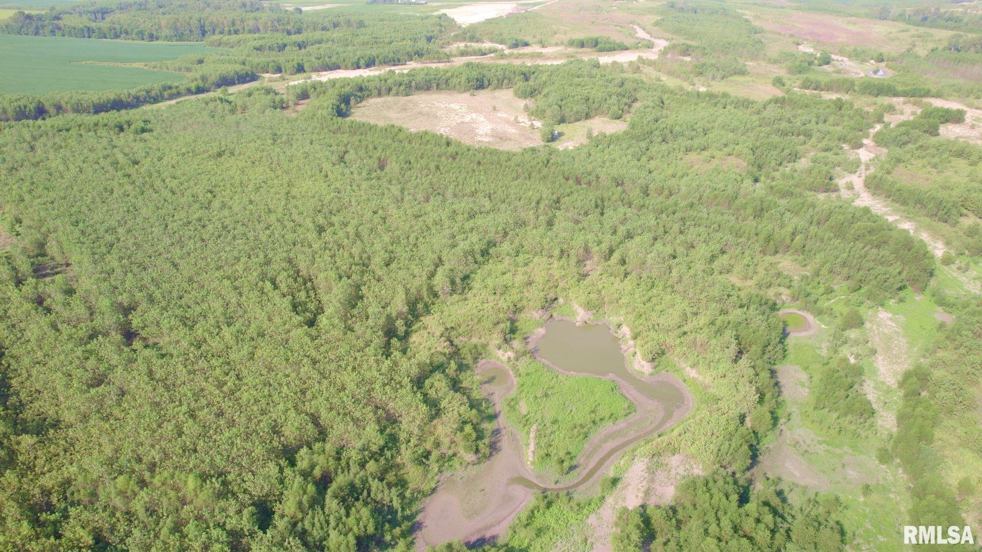 0 Watson Road Miller City, IL 62962 - Photo 8 of 16