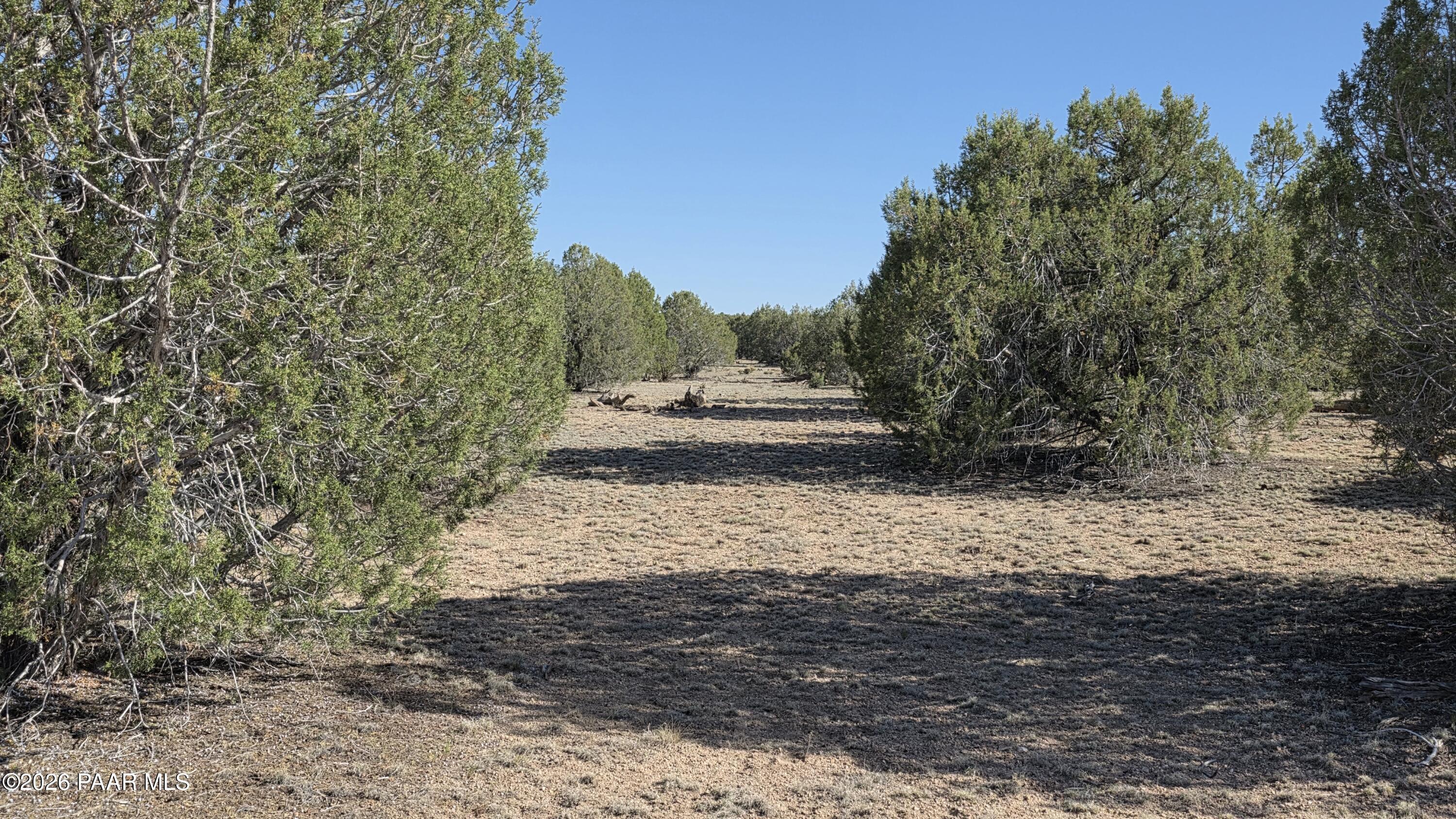 0 Harris Valley Ranch Road Seligman, AZ 86337 - Photo 43 of 53 20260522_162457 1
