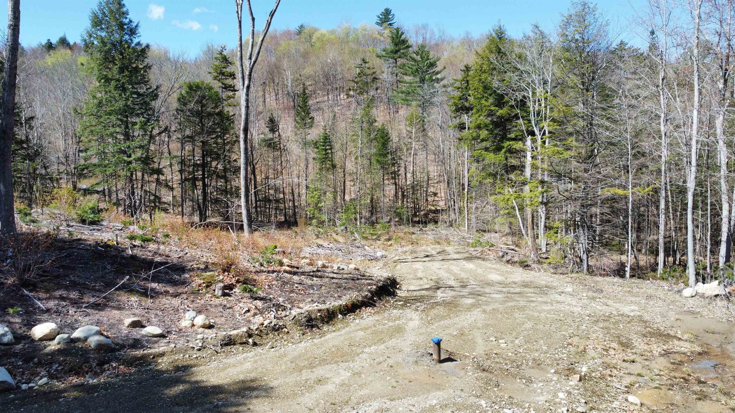 667 Murray Hill Road Hill, NH 03243 - Photo 1 of 7