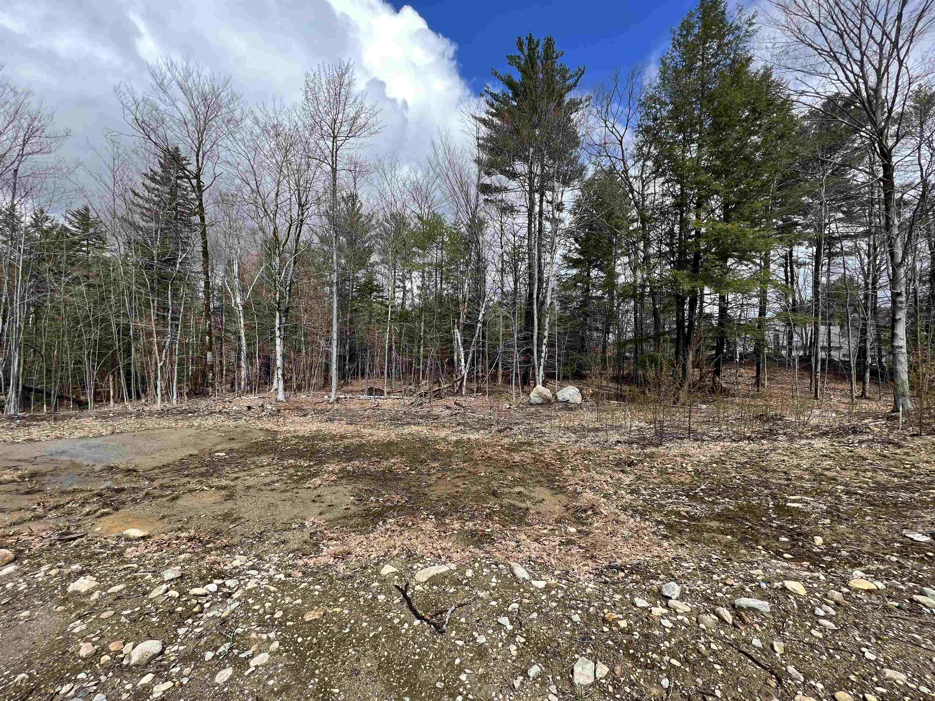 667 Murray Hill Road Hill, NH 03243 - Photo 4 of 7