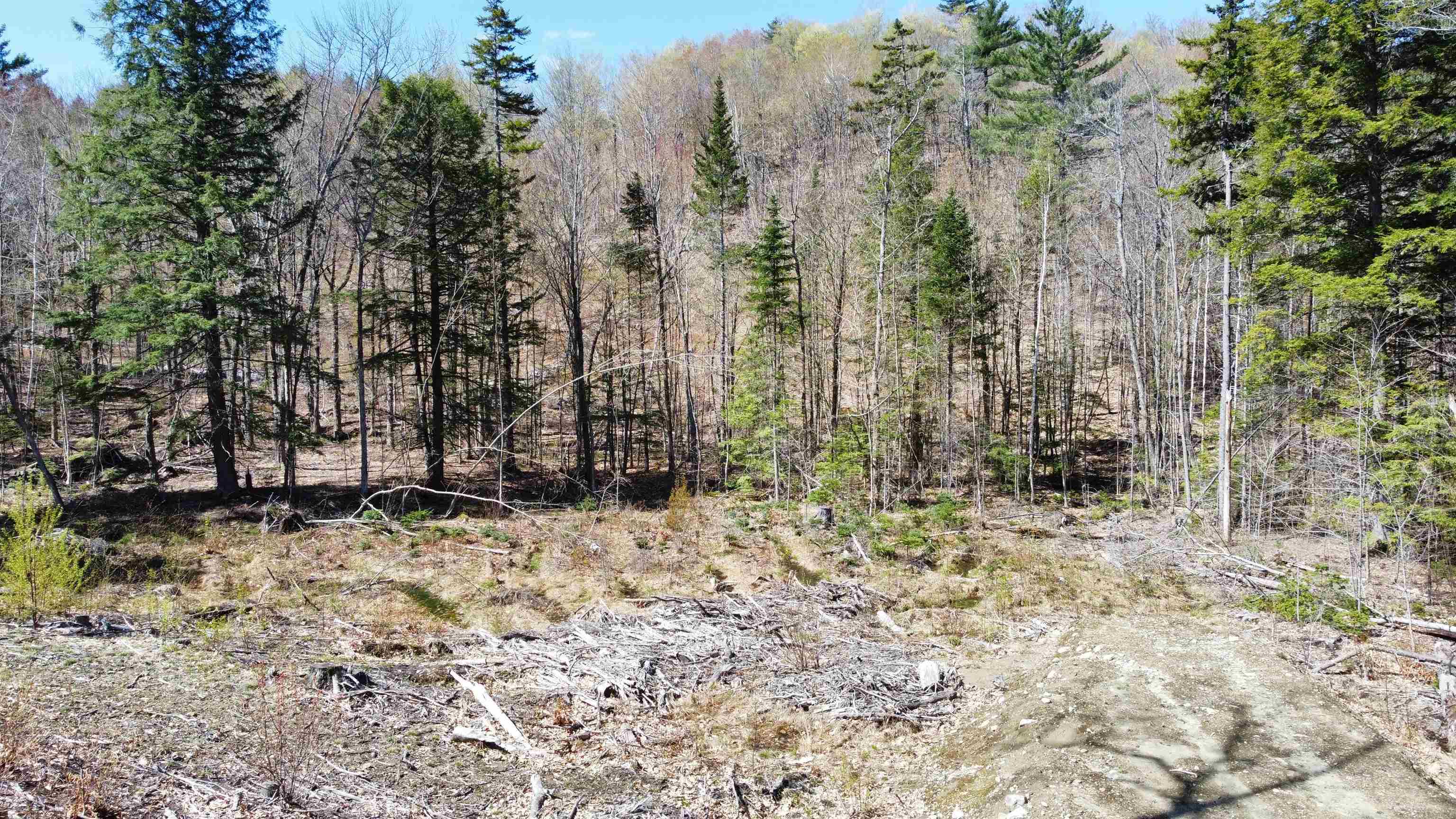 667 Murray Hill Road Hill, NH 03243 - Photo 5 of 7