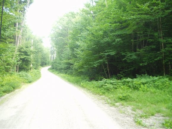 Dole Schoolhouse Road Washington, NH 03280 - Photo 1 of 1 Gallery Image 1