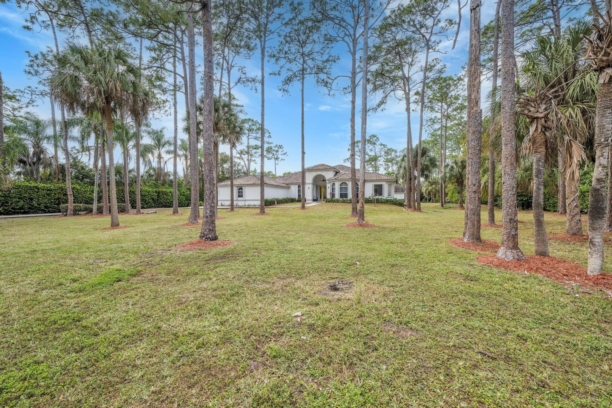4901 Godfrey Road Parkland, FL 33067 - Photo 19 of 60 a view of a tree in a park