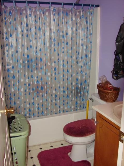 161 Two Hitch Road Goose Creek, SC 29445 - Photo 23 of 45 Guest bath