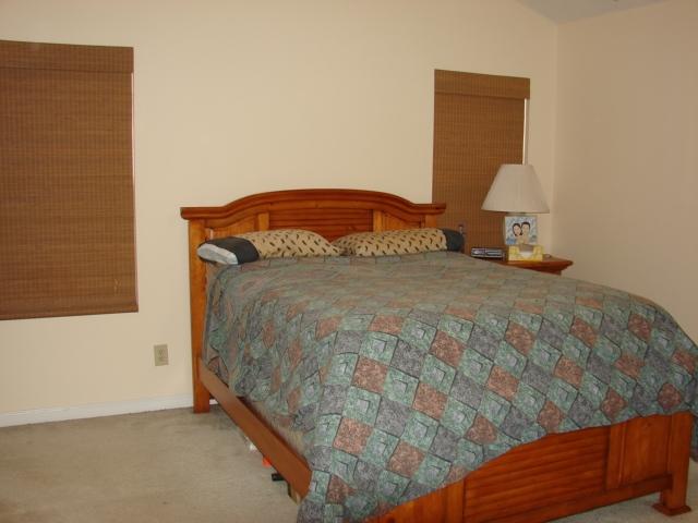 161 Two Hitch Road Goose Creek, SC 29445 - Photo 27 of 45 Master 1 view