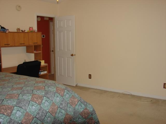 161 Two Hitch Road Goose Creek, SC 29445 - Photo 28 of 45 Master 2 view