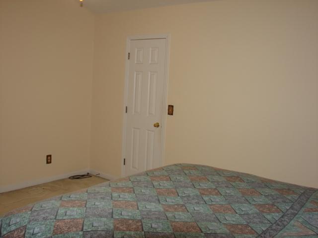 161 Two Hitch Road Goose Creek, SC 29445 - Photo 29 of 45 Master 3 view