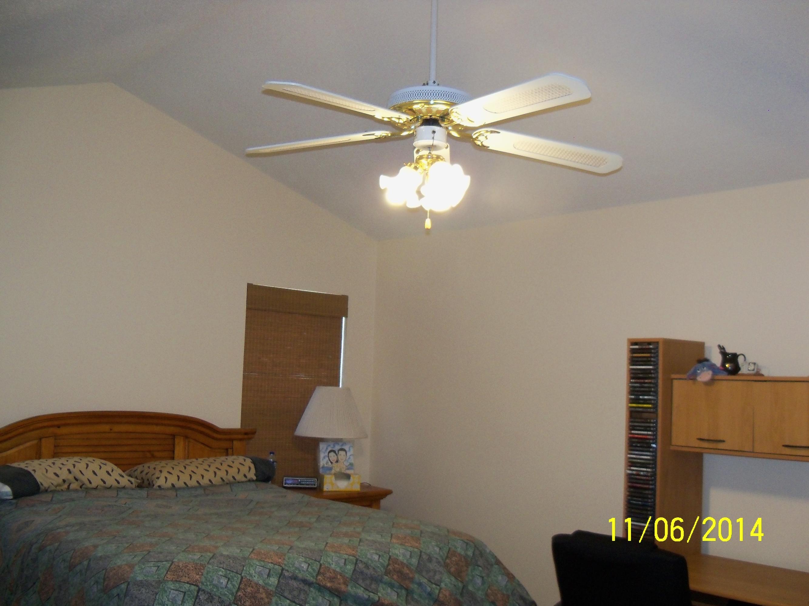 161 Two Hitch Road Goose Creek, SC 29445 - Photo 31 of 45 Master view with ceiling fan