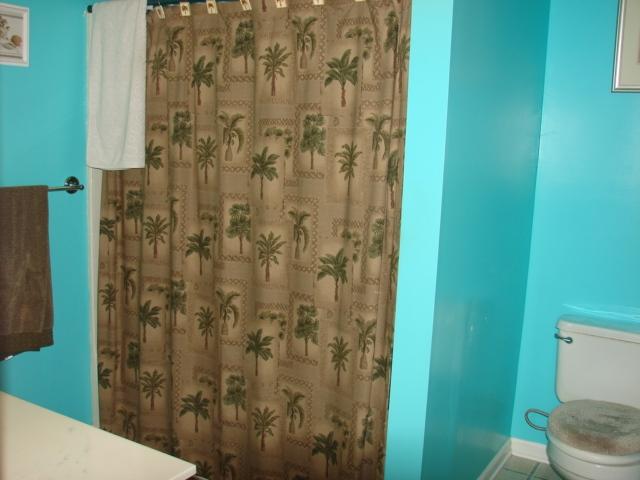 161 Two Hitch Road Goose Creek, SC 29445 - Photo 32 of 45 Master bath on side