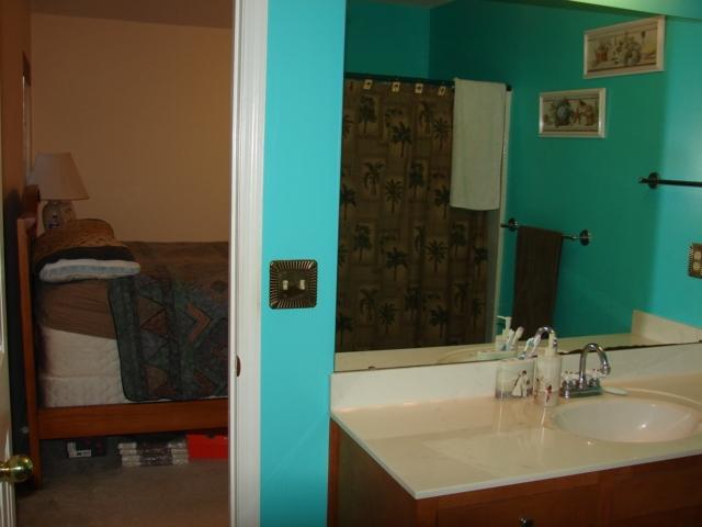 161 Two Hitch Road Goose Creek, SC 29445 - Photo 33 of 45 Master bath other side