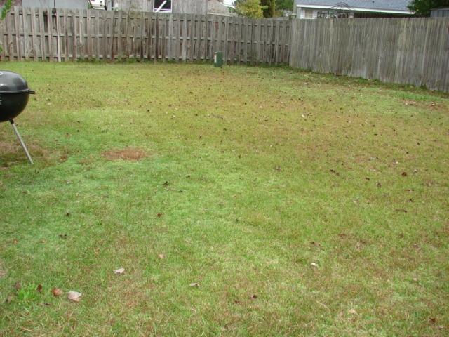 161 Two Hitch Road Goose Creek, SC 29445 - Photo 37 of 45 backyard one side