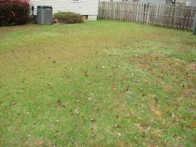161 Two Hitch Road Goose Creek, SC 29445 - Photo 38 of 45 backyard other side