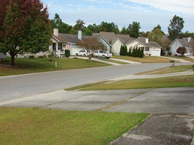 161 Two Hitch Road Goose Creek, SC 29445 - Photo 41 of 45 street view in front of house