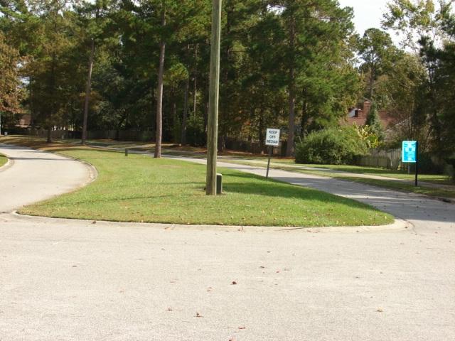 161 Two Hitch Road Goose Creek, SC 29445 - Photo 43 of 45 Entrance view x2