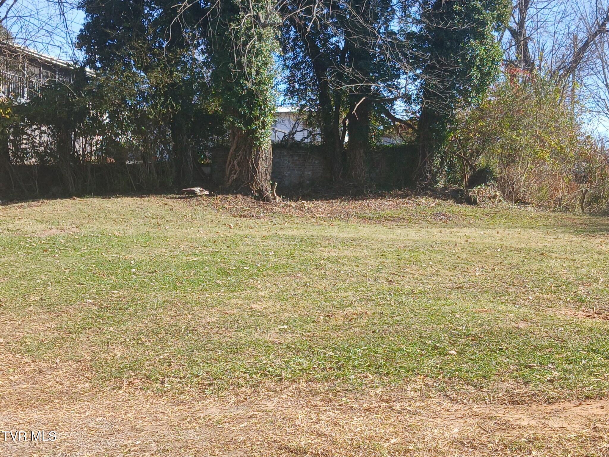 136 Beaver Street Bristol, VA 24201 - Photo 17 of 17 yard 1