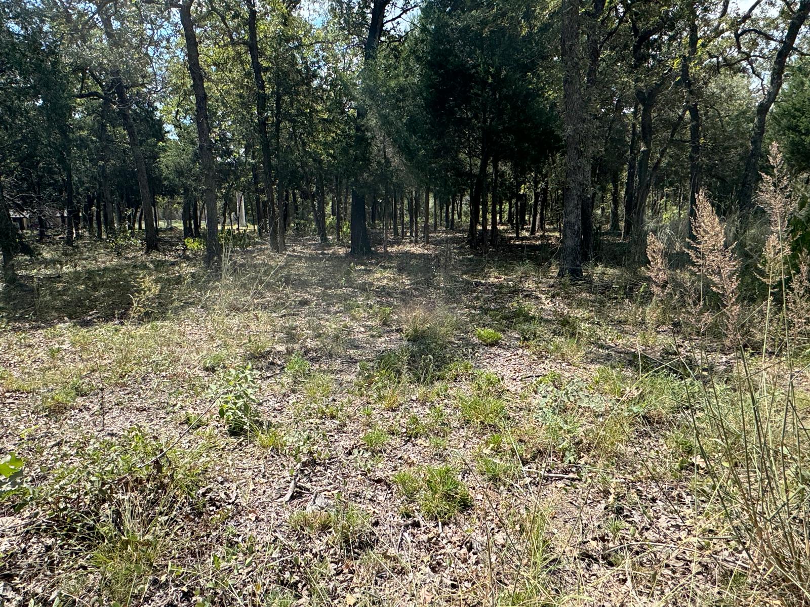 Lot 2-000 Jordan Lane Elgin, TX 78621 - Photo 2 of 9 a view of outdoor space with trees