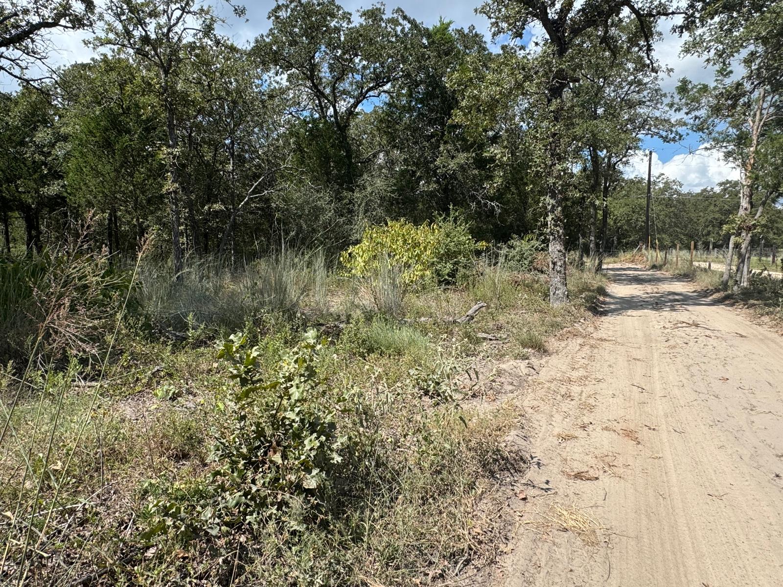 Lot 2-000 Jordan Lane Elgin, TX 78621 - Photo 7 of 9 a view of a yard with large trees