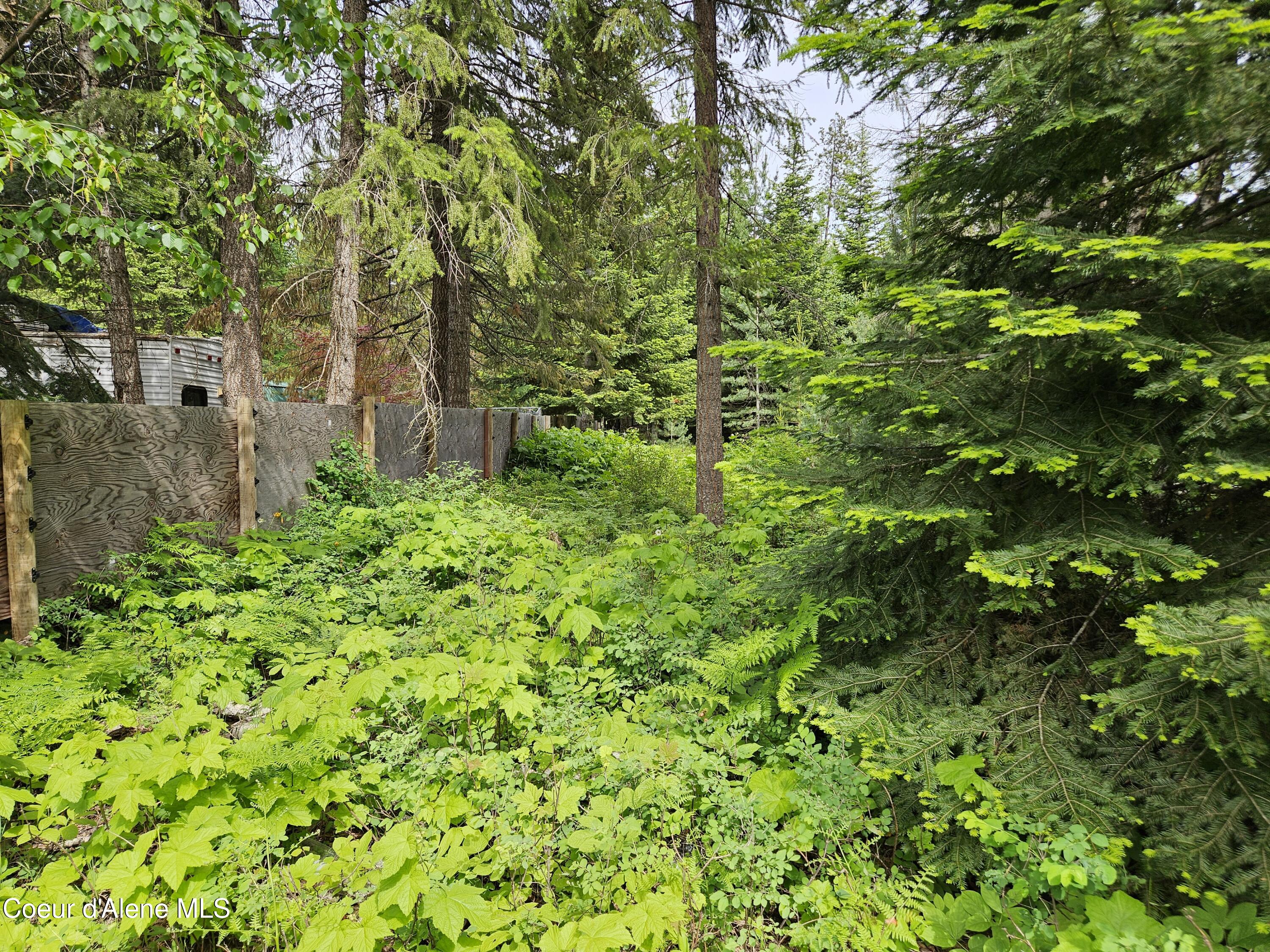 109 Geronimo Lane Sandpoint, ID 83864 - Photo 15 of 36 North property line looking east