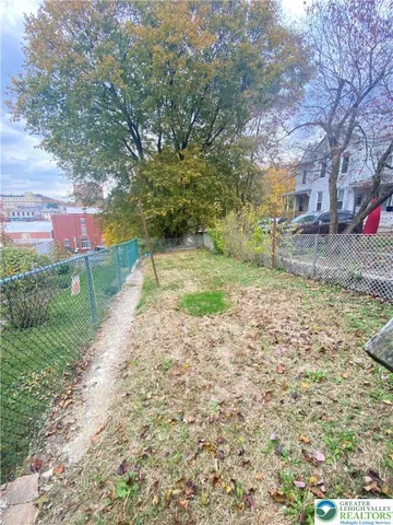 a view of a yard with plants and large trees