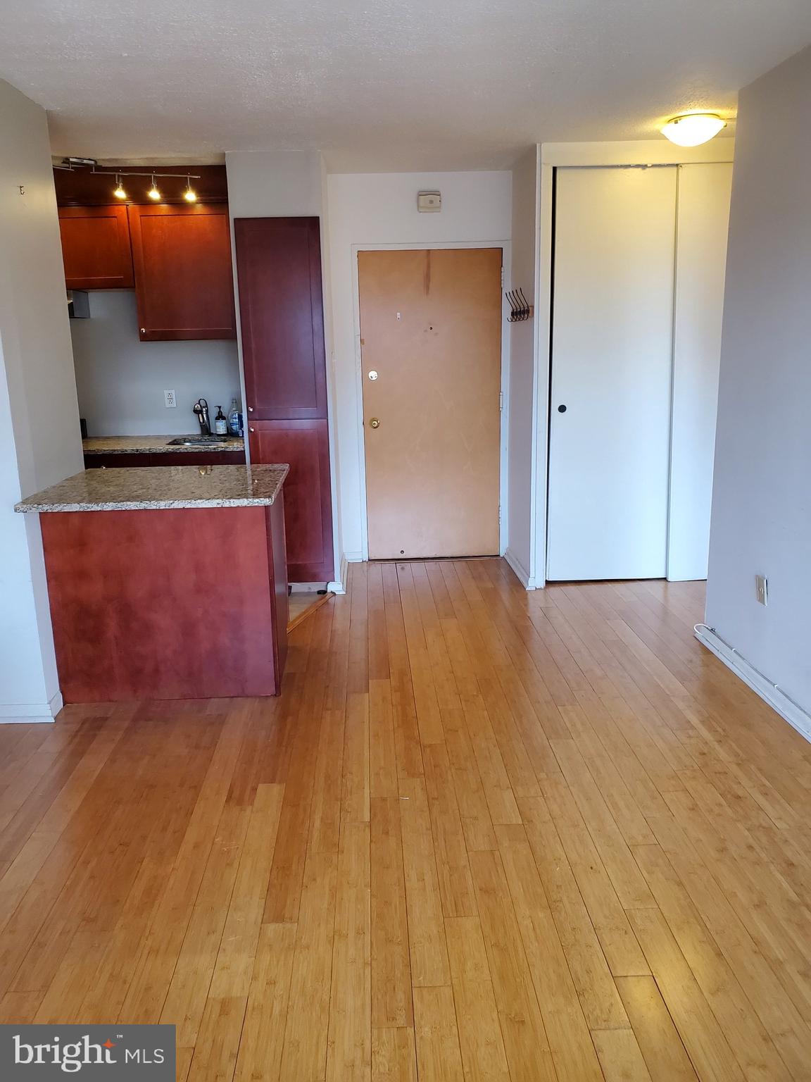 2101-17 Chestnut Street, Unit 1211 Philadelphia, PA 19103 - Photo 2 of 12 a view of a room with wooden floor and cabinet