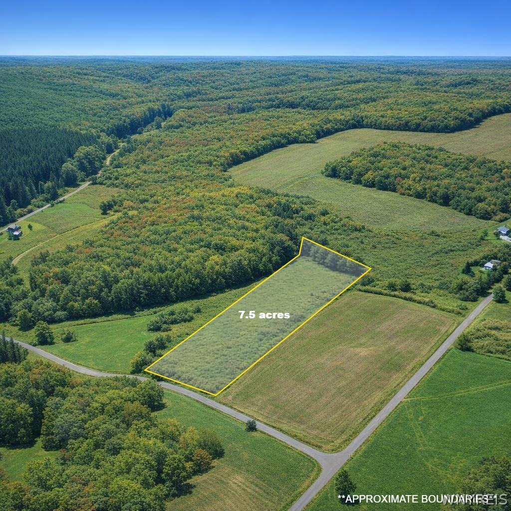 9525 Dewey Road New Hudson, NY 14714 - Photo 1 of 11 Gallery Image 1