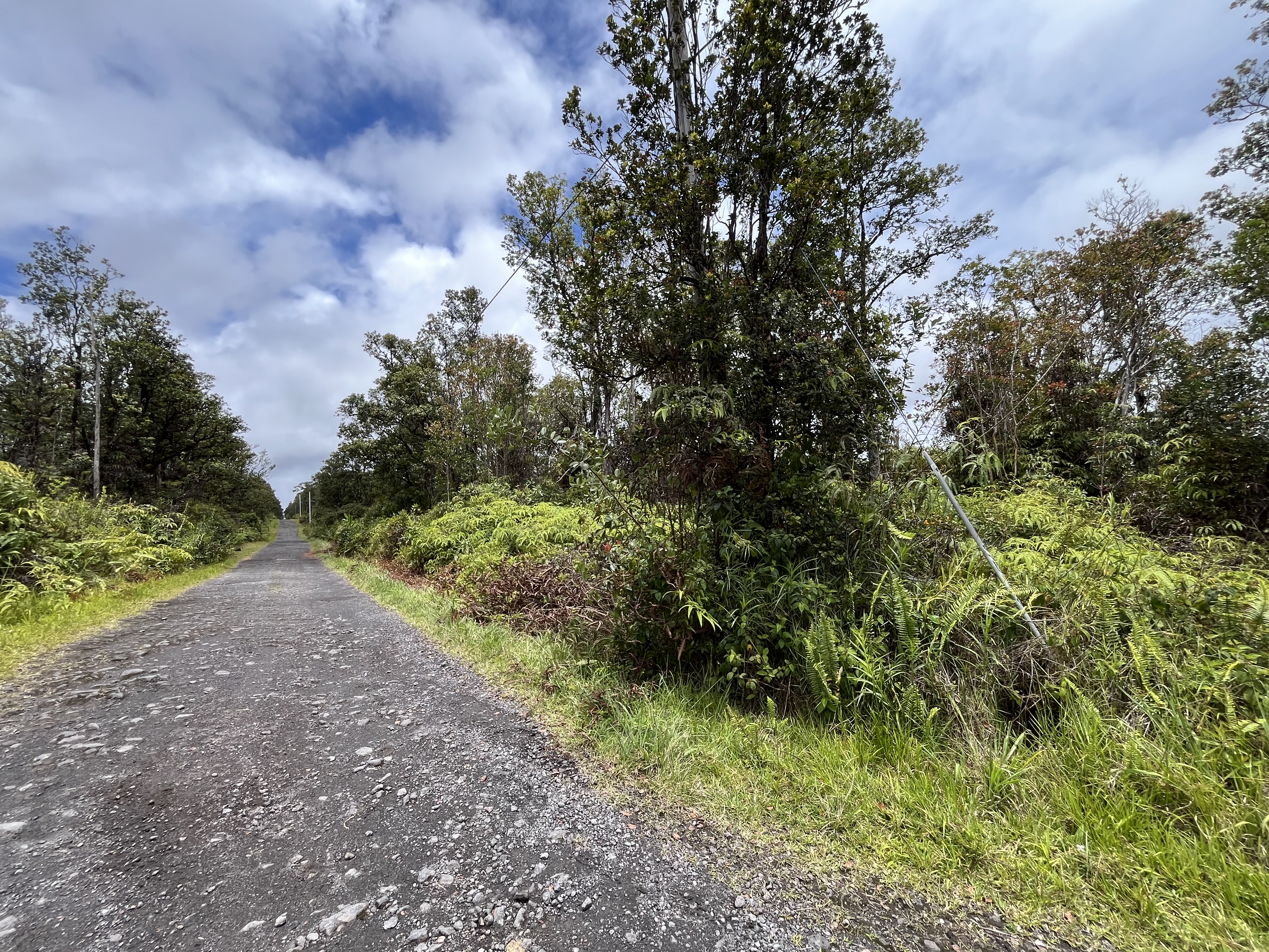 46 Ala Naulani Road Mountain View, HI 96771 - Photo 13 of 13 a view of a yard with plants and a trees