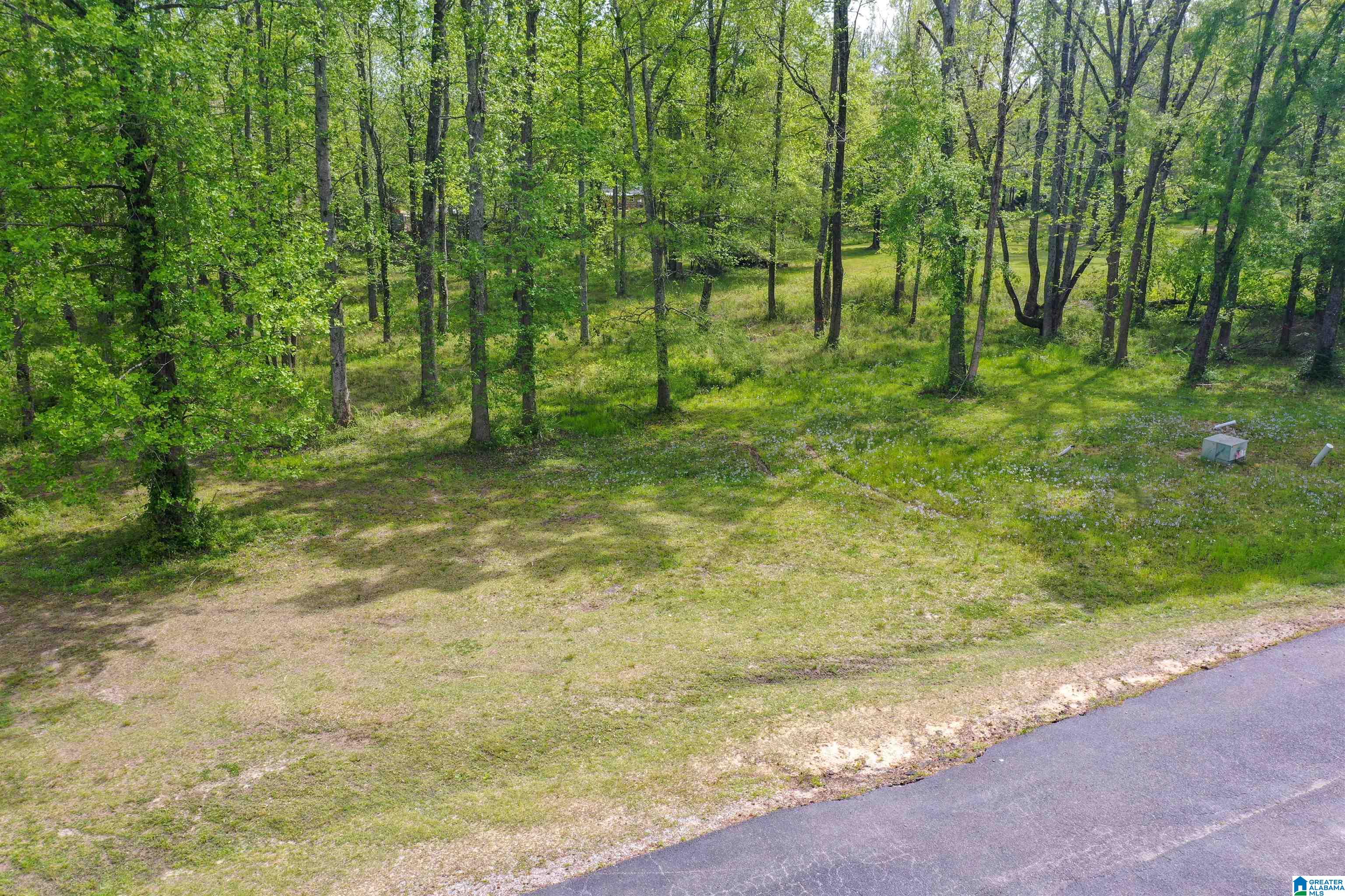 797 County Road Clanton, AL 35045 - Photo 13 of 44