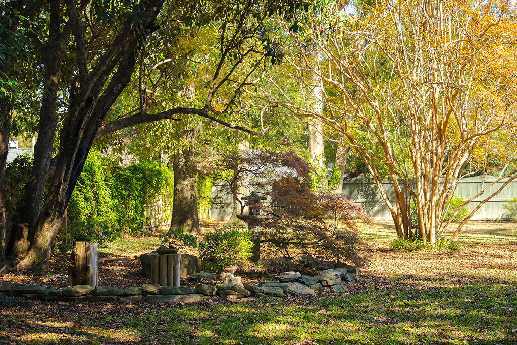 403 Banks Mill Road Southeast Aiken, SC 29801 - Photo 52 of 57 ?MeghannPadgett_403BanksMillRd-19