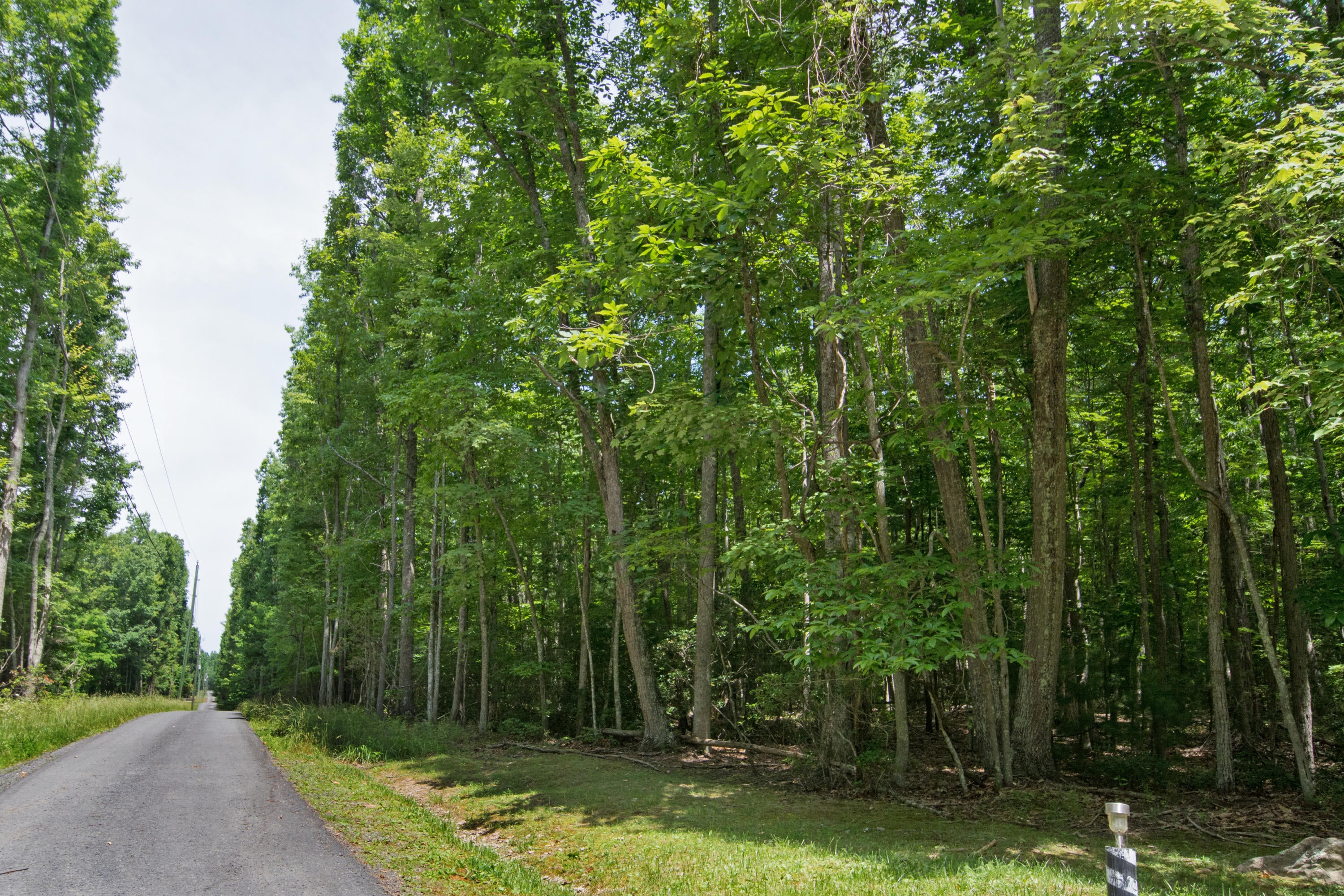 599 Woodbrier Estates Road Alderson, WV 24910 - Photo 42 of 48 Gallery Image 42