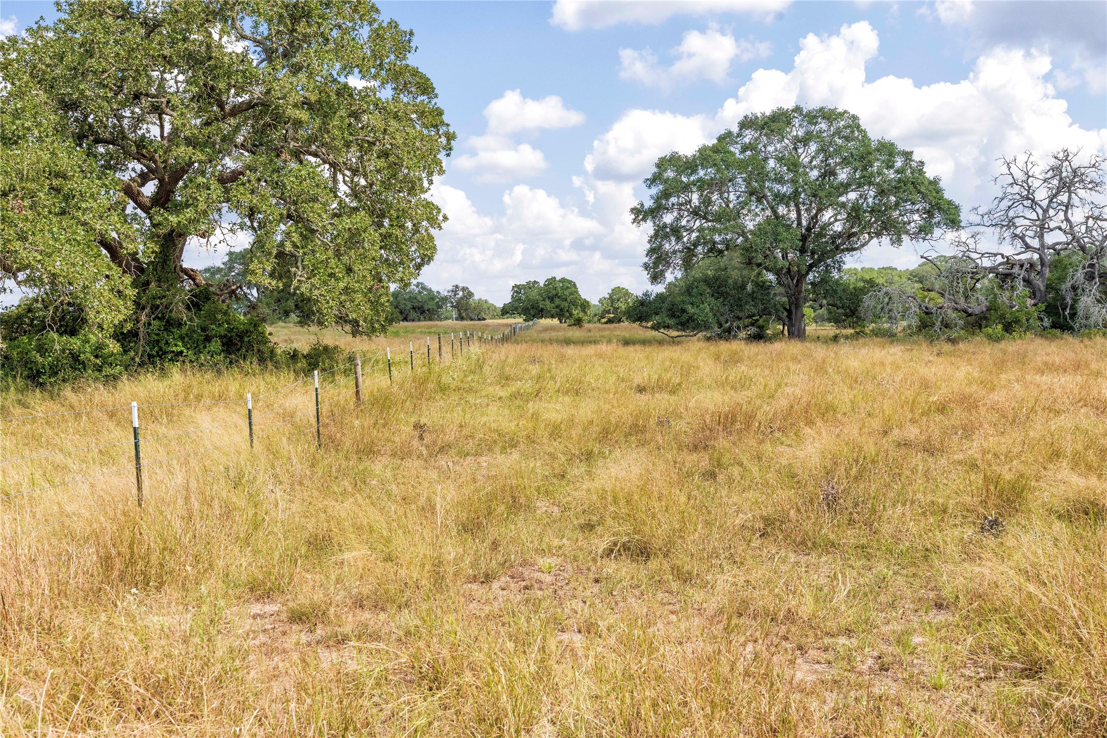 265 Boulton Creek Road Muldoon, TX 78949 - Photo 12 of 16 a view of lake with houses