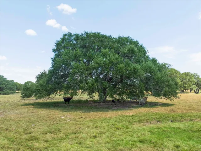 a view of a field with clear sky