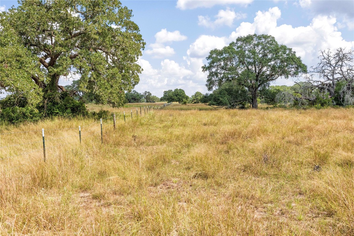 265 Boulton Creek Road Muldoon, TX 78949 - Photo 7 of 11 a view of lake with houses