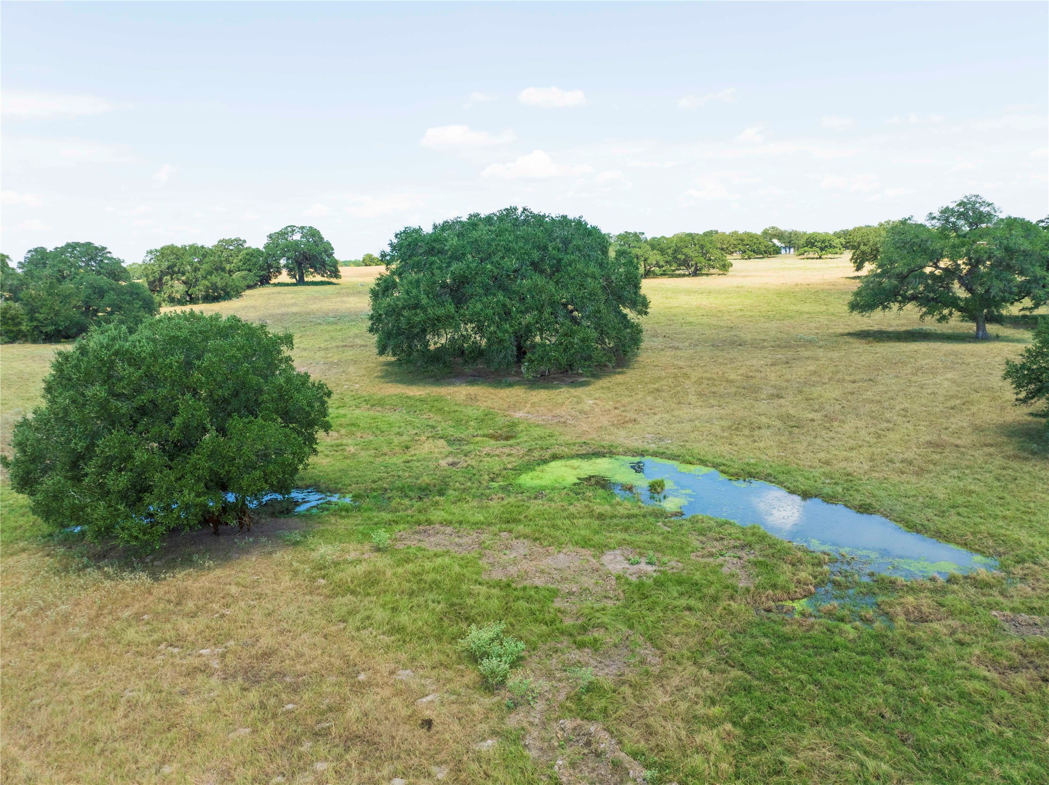 265 Boulton Creek Road Muldoon, TX 78949 - Photo 8 of 16 a view of a lake with houses in the back