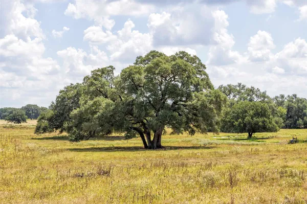 $649,950 | 265 Boulton Creek Road, Muldoon, TX 78949