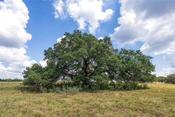$649,950 | 265 Boulton Creek Road, Muldoon, TX 78949