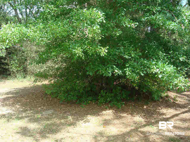 25025 County Road 49 Loxley, AL 36551 - Photo 22 of 24