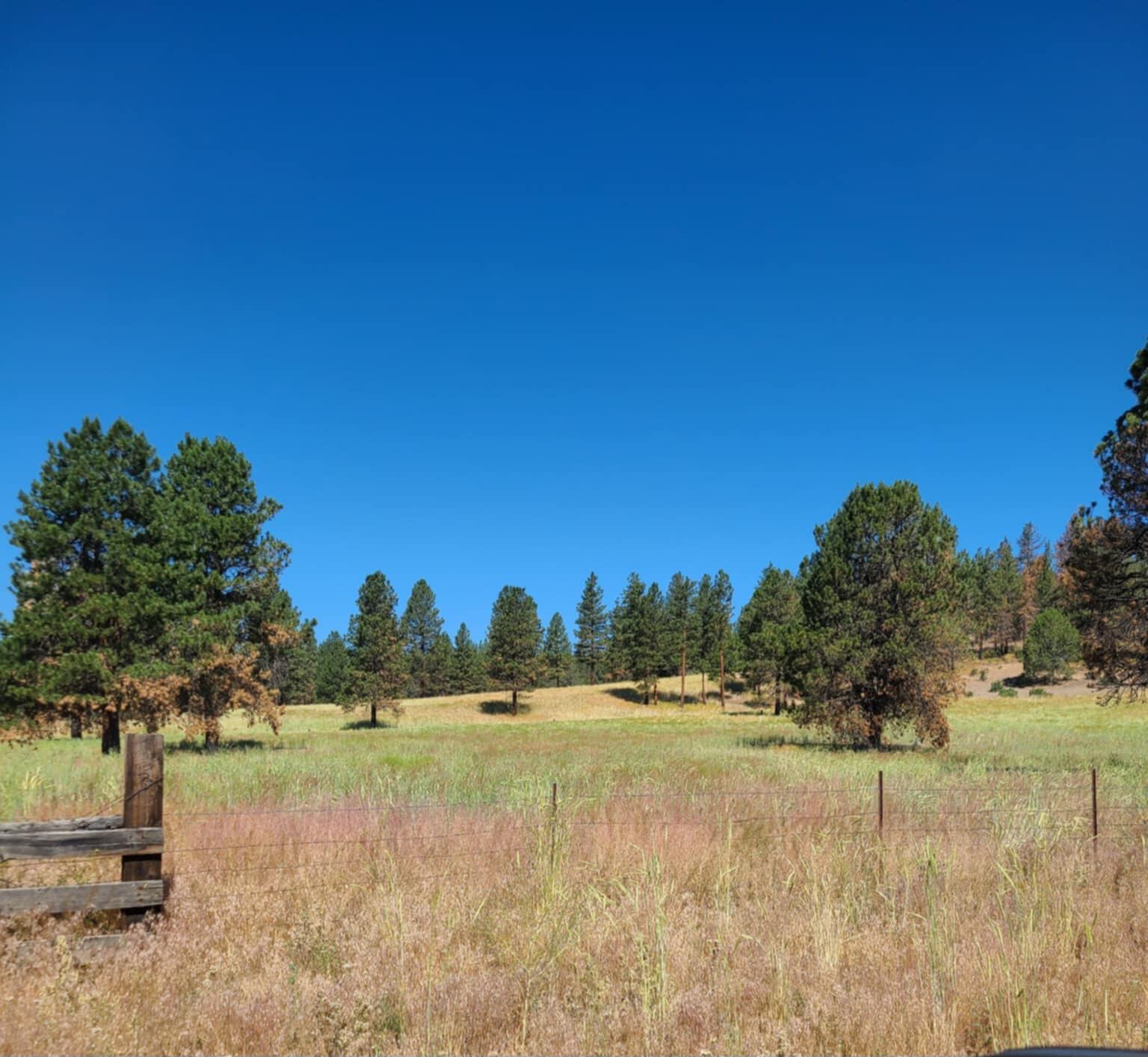31747 Godowa Springs Road Beatty, OR 97621 - Photo 2 of 23 Messenger_creation_4645C5B7-DF15-46E1-9A