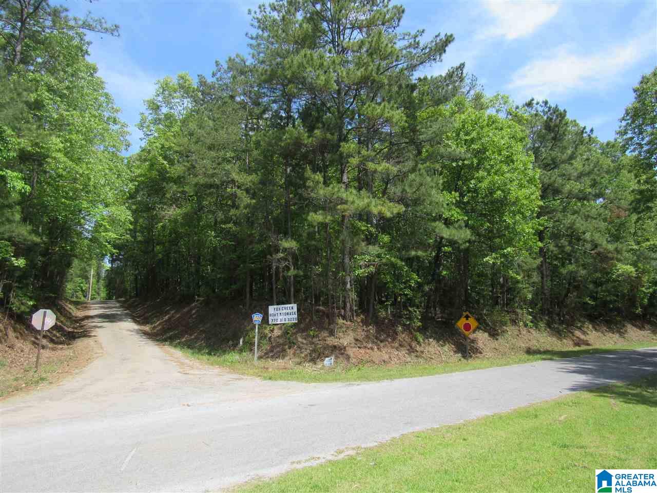 0 County Road 895, Unit 17 ACRES Lineville, AL 36266 - Photo 4 of 30