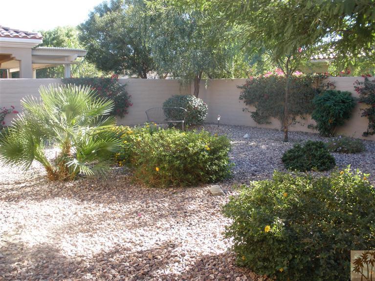 81673 Avenida Alturas Indio, CA 92203 - Photo 3 of 17 a view of a back yard