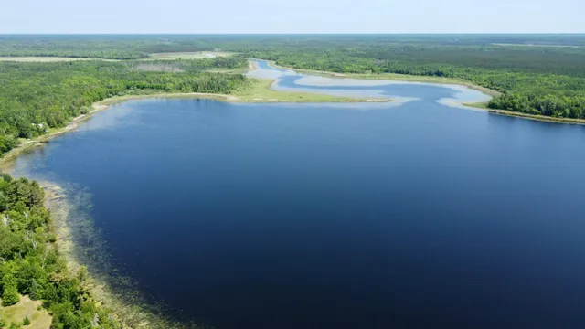 $74,900 | Tbd Wheeler Road, Northome, MN 56661