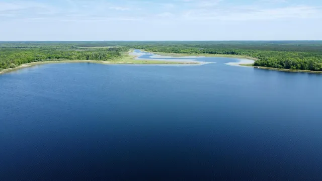 $74,900 | Tbd Wheeler Road, Northome, MN 56661