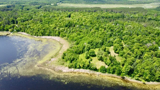 $74,900 | Tbd Wheeler Road, Northome, MN 56661